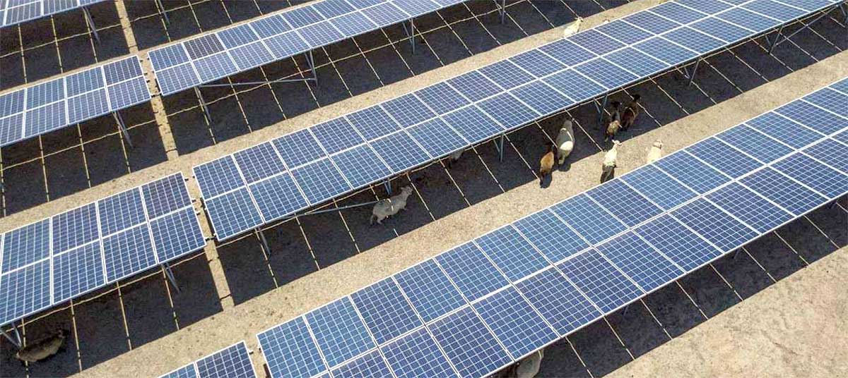 news-Application of solar panels in pasture-1200-536 news-Application of solar panels in pasture-1200-536